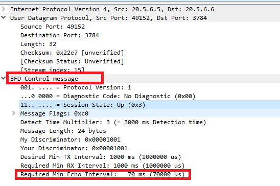 bfdcontrolpacket