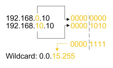 wildcard-example